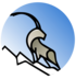 Skibex Logo